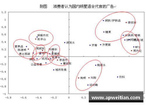 体育明星代言产品的市场影响力与消费者行为分析