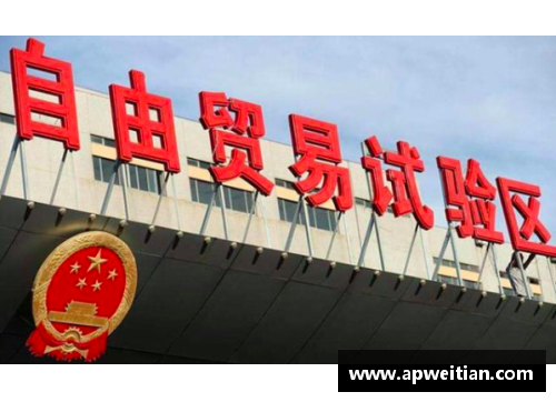乙字明星领航中国体育新时代的辉煌之路