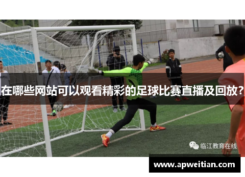 在哪些网站可以观看精彩的足球比赛直播及回放？