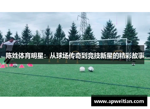 陈姓体育明星：从球场传奇到竞技新星的精彩故事